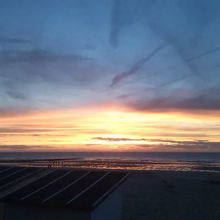 Chez Aurelia Ostende